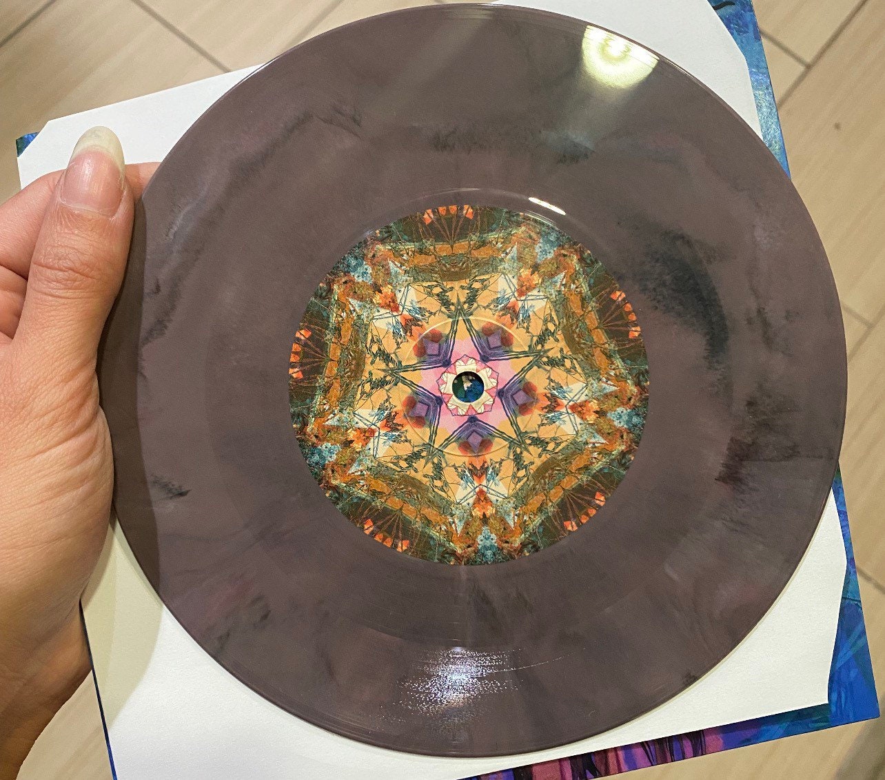 Growing Wild x Talking to Plants 7" vinyl record