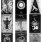 Neptune Power Tarot
