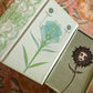 Damaged B Grade ~ Jupiter Power Tarot