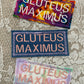 Gluteus Maximus Embroidered Patch