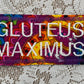 Gluteus Maximus Embroidered Patch