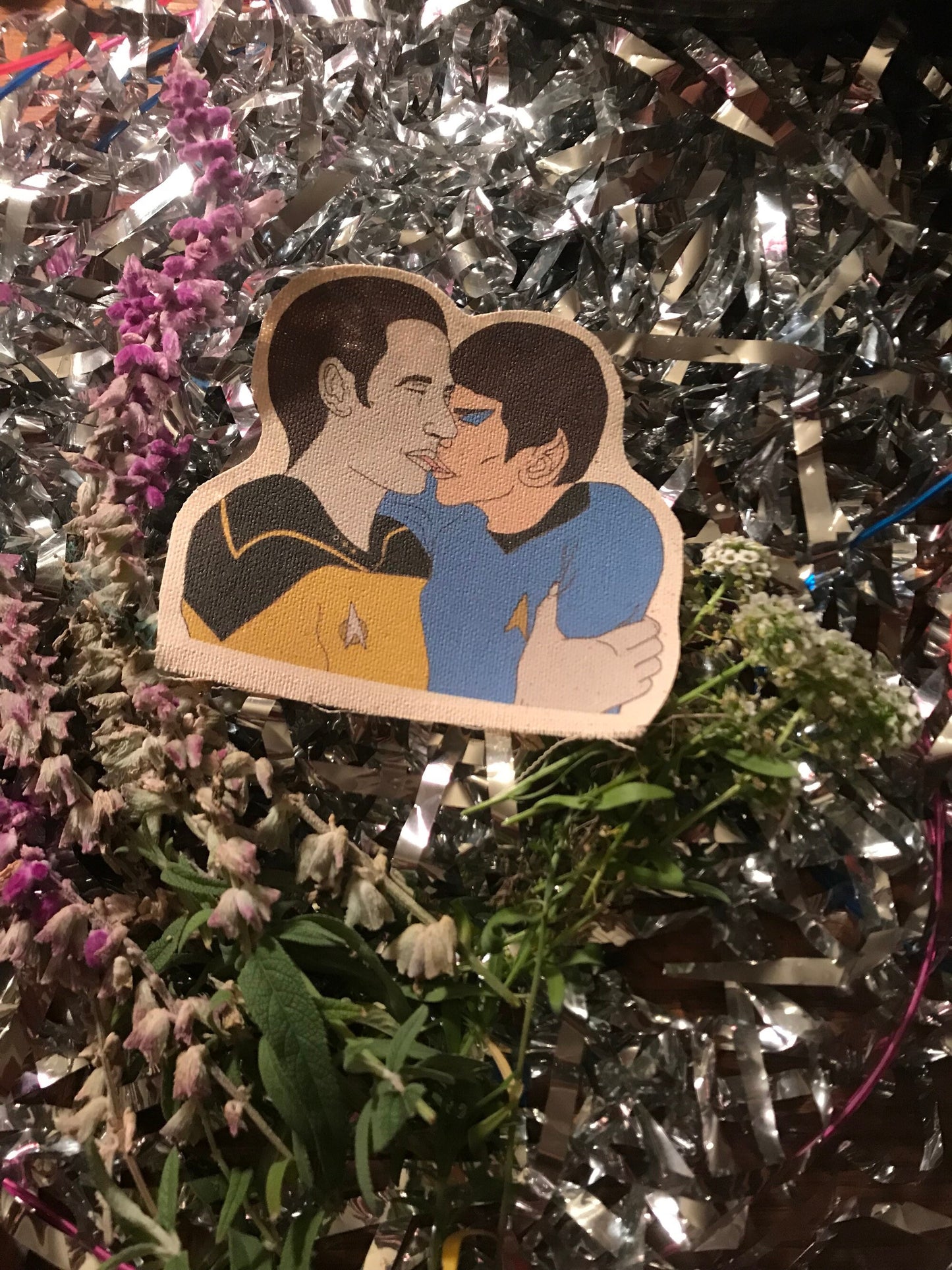 Spock and Data canvas patch
