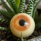 handmade fish eye