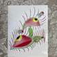 Venus Fleye Trap Print