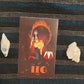 Leo vinyl Sticker