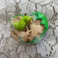 rotten hair barrette