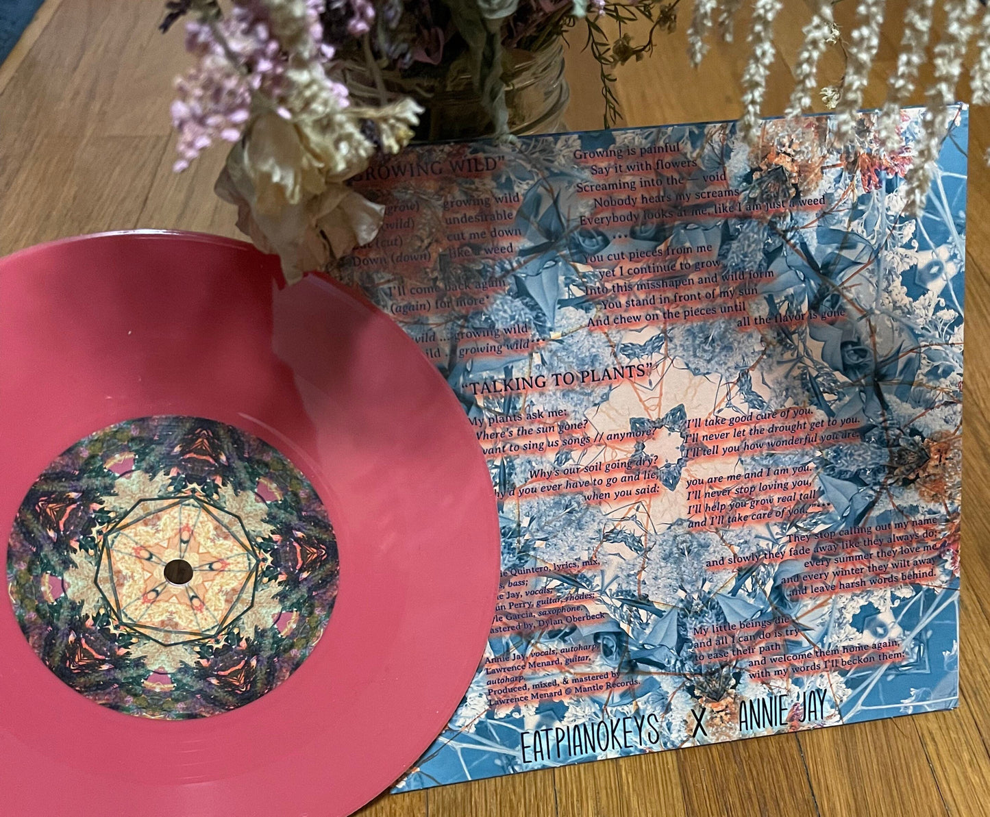 Growing Wild x Talking to Plants 7" vinyl record