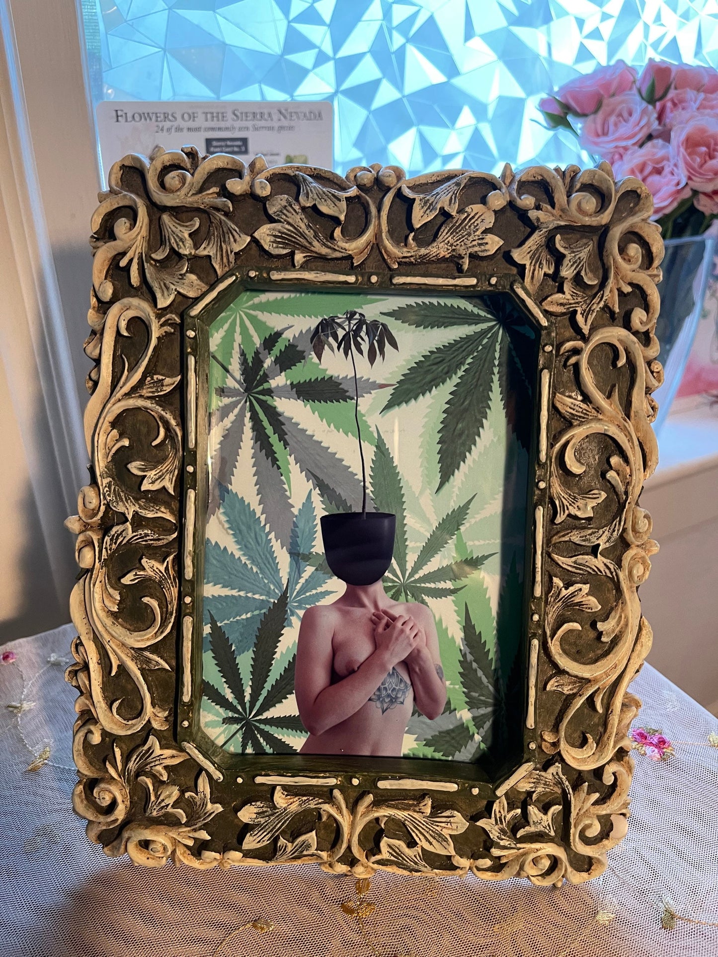 pothead framed print