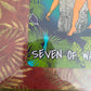 seven of wands framed print