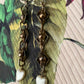 Sweetheart Earrings